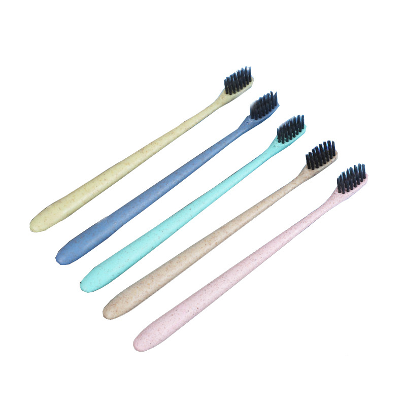 Disposable soft-bristled toothbrush | TGN Toothbrush Manufacturers